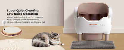 Self Cleaning Litter Box