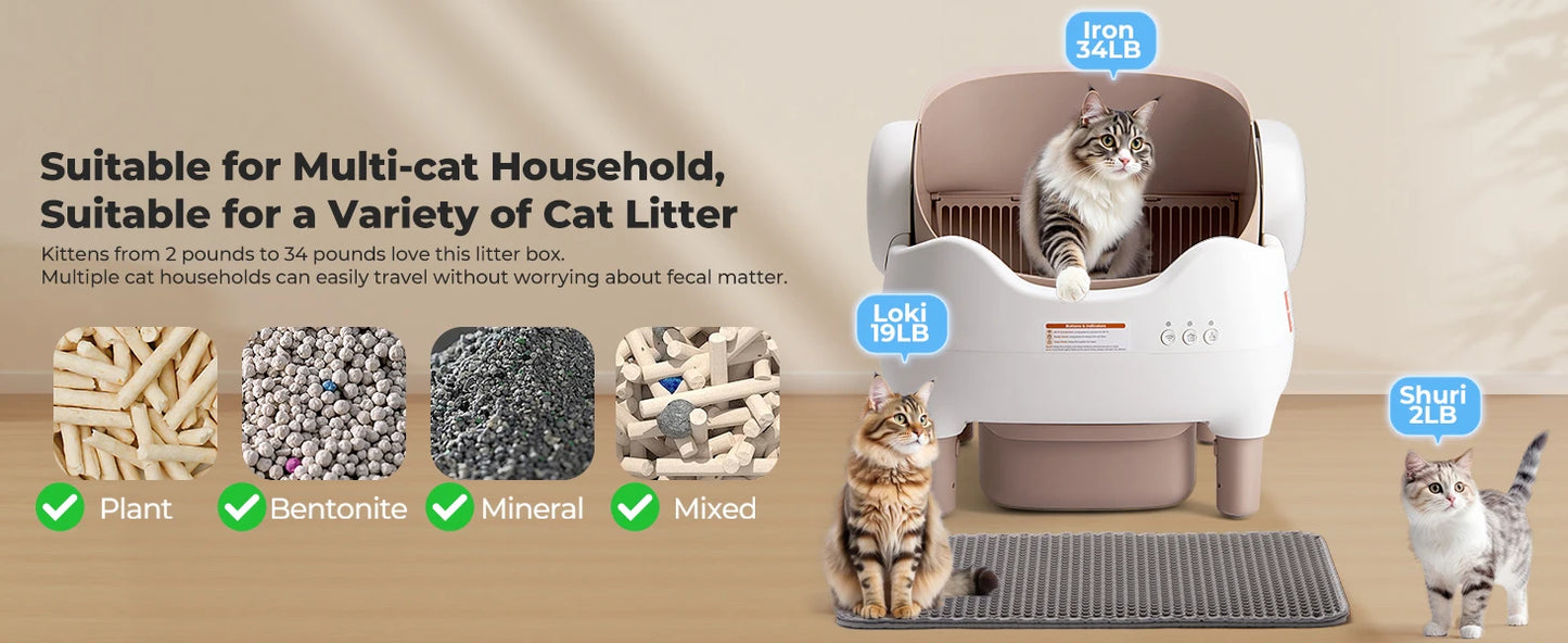 Self Cleaning Litter Box